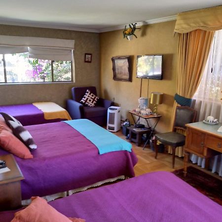 סנטיאגו Bed & Breakfast Blumen Haus מראה חיצוני תמונה