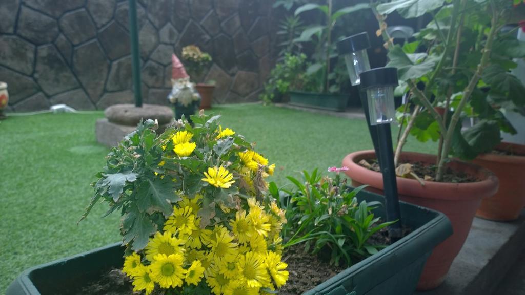 סנטיאגו Bed & Breakfast Blumen Haus מראה חיצוני תמונה