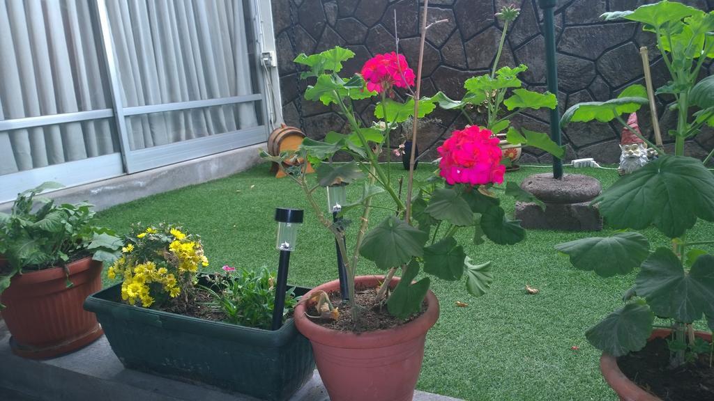 סנטיאגו Bed & Breakfast Blumen Haus מראה חיצוני תמונה
