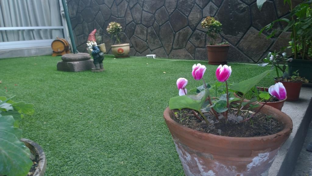 סנטיאגו Bed & Breakfast Blumen Haus מראה חיצוני תמונה