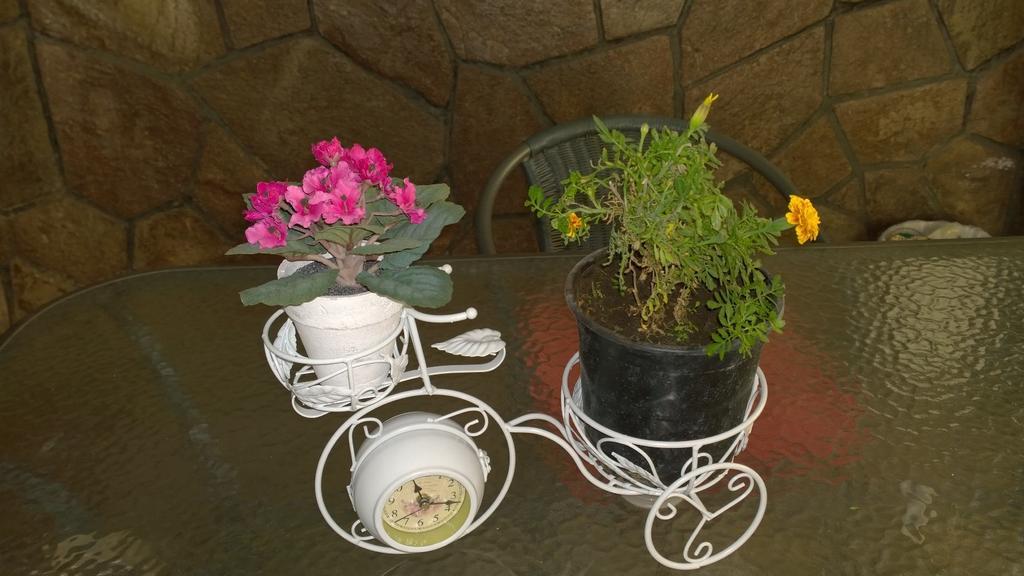 סנטיאגו Bed & Breakfast Blumen Haus מראה חיצוני תמונה